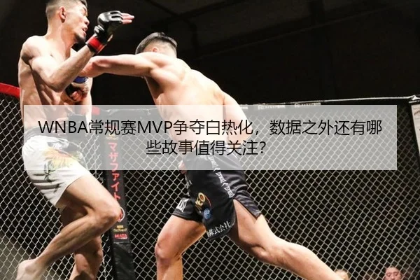 WNBA常规赛MVP争夺白热化，数据之外还有哪些故事值得关注？
